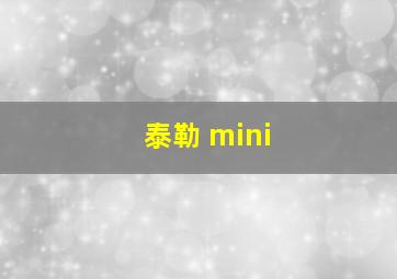 泰勒 mini